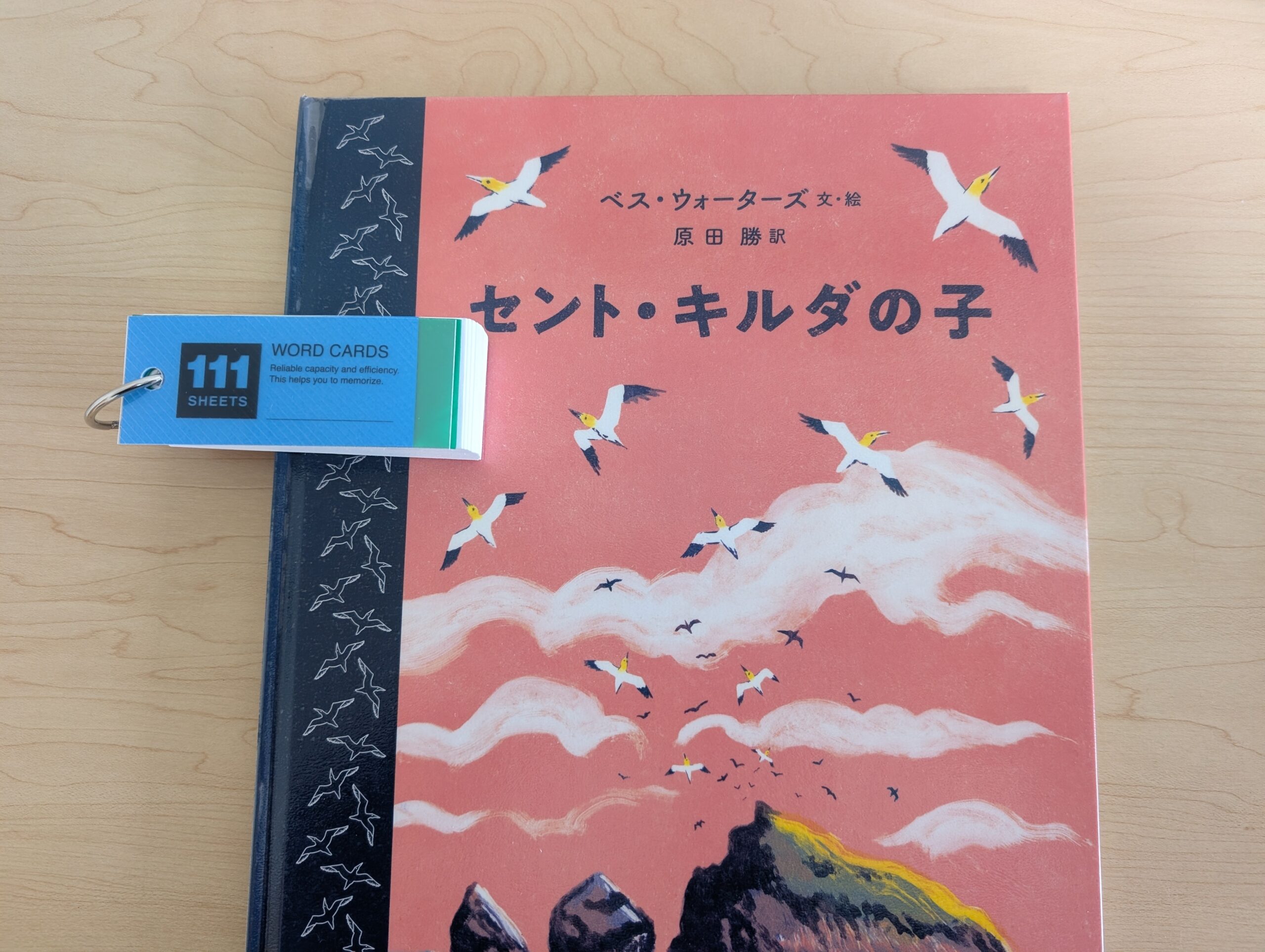セント・キルダの子の衛門（表紙）