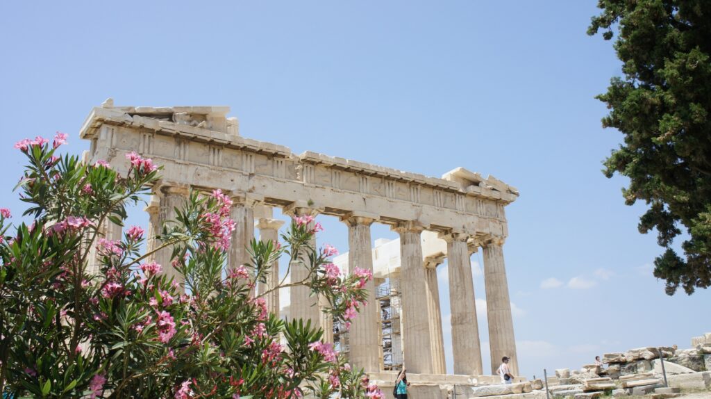 アクロポリスと花
